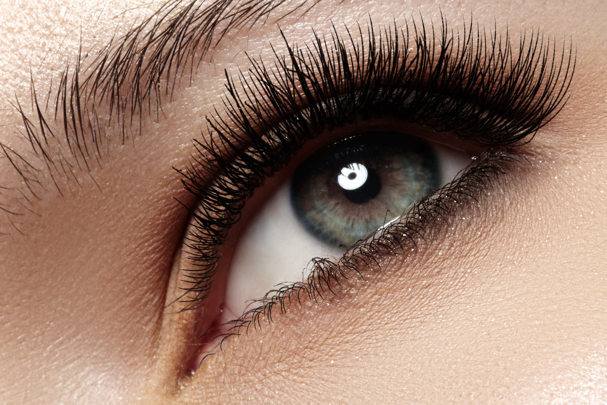 Macro of beautiful eye with extremely long eyelashes